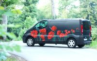 Coquelicots